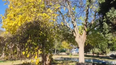 Casa rústica en venta en Aracena, Aracena de 599.000 €
