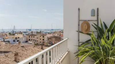 Apartment in Santa Catalina photo 24