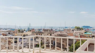 Apartment in Santa Catalina photo 4