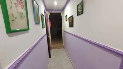 Miniatura 11