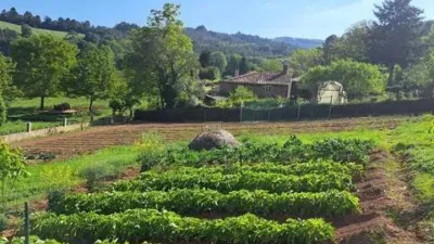 Rustic house in Vila de Cruces photo 19