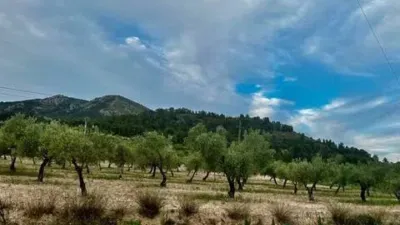 Terreno en venta en Biar - Vista 3