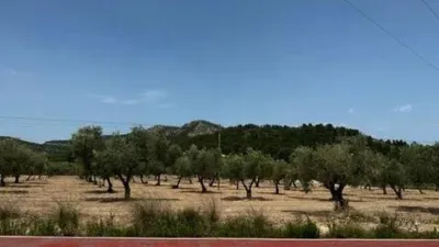 Terreno en venta en Biar - Más