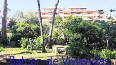Apartment in Palma de Mallorca photo 26