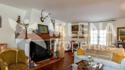 Chalet on Paseo Central photo 4