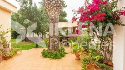 Chalet on Paseo Central photo 75