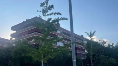 Apartment in La Torre-roja-Campreciós-Grup Sant Jordi photo 29