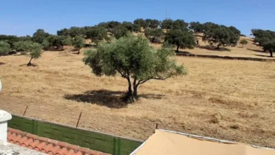 House in El Real de La Jara photo 41