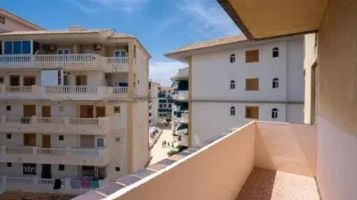 Pis – Torrevieja - Vista 3