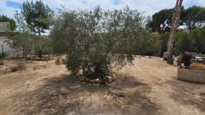 Terreno en venta en Pinar de Campoverde - Vista 3
