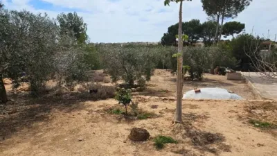 Terreno en venta en Pinar de Campoverde - Vista 4