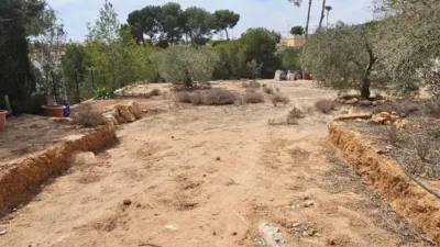 Terreno en venta en Pinar de Campoverde - Vista 5