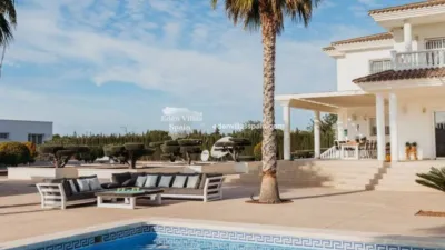 Casa – Elx - Elche - Vista 2
