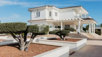 Casa – Elx - Elche - Vista 4