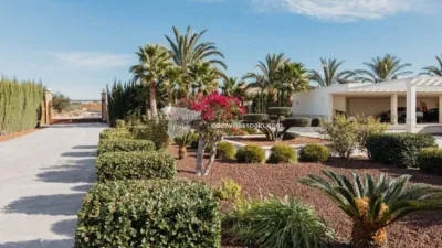 Casa – Elx - Elche - Vista 5