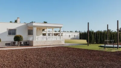 Casa – Elx - Elche - Más