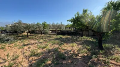 Chalet in Benissa Pueblo photo 19