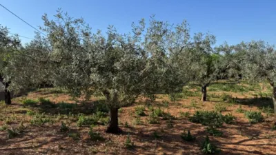 Casa – Benissa - Vista 3