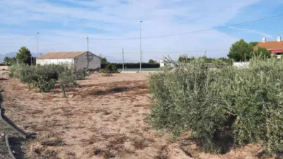 House in Centro-Corredera photo 7