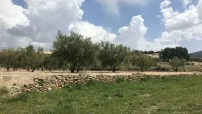 Casa – Biar, l'Alt Vinalopó / El Alto Vinalopó - Vista 4