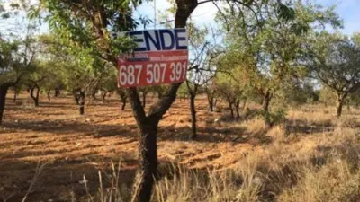 Terreno en venta en Biar - Vista 2
