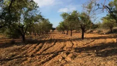 Terreno en venta en Biar - Vista 3