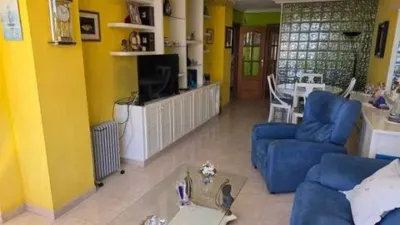 Pis – Benidorm - Vista 3
