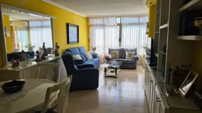 Pis – Benidorm - Vista 5