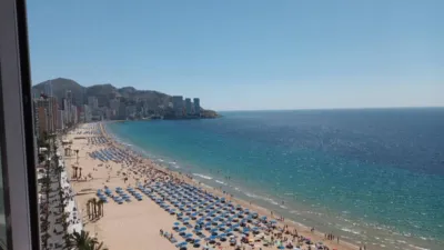 Apartment in Platja de Llevant photo 2