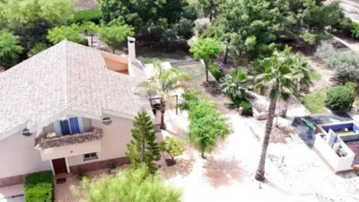 Casa – Elx - Elche - Vista 5