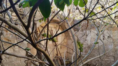 Casa en Felanitx photo 17