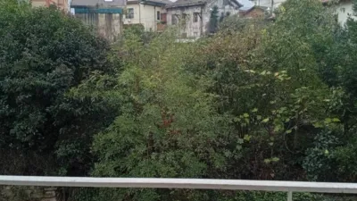 Apartment in Azeta-Abatxolo photo 12