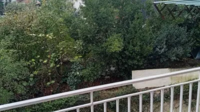 Apartment in Azeta-Abatxolo photo 13