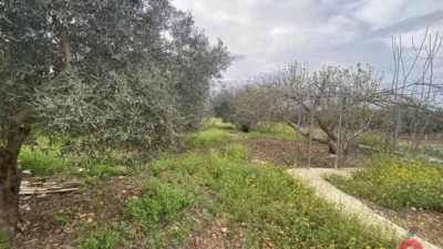 Rustic house in La Carlota photo 38