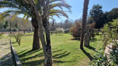 Chalet in Esgos (Capital) photo 15