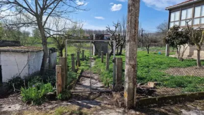 Rustic house in A Teixeira (Maceda) photo 34