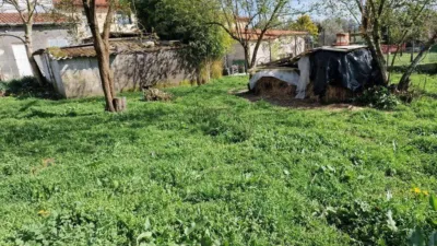 Rustic house in A Teixeira (Maceda) photo 38