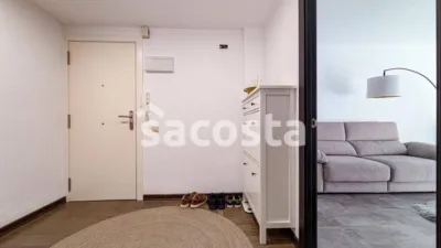 Apartment in Els Pins photo 18