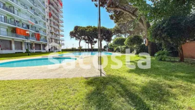 Apartment in Els Pins photo 25