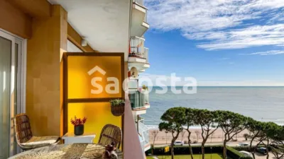 Apartment in Els Pins photo 6