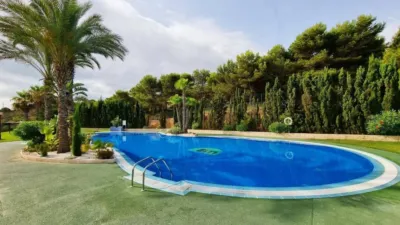 Apartment in Gran Alacant photo 26