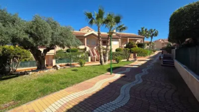 Apartment in Gran Alacant photo 5