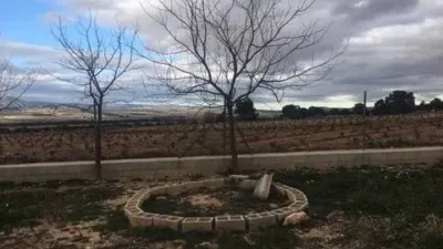 Rustic house in Villena photo 11