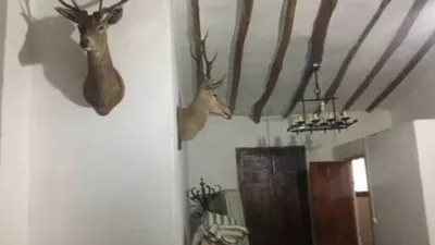 Rustic house in Villena photo 23