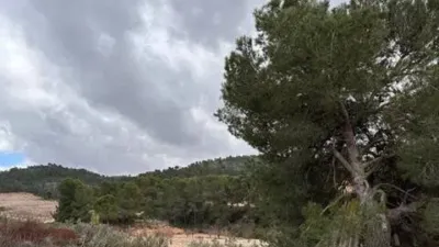 Rustic house in Villena photo 32