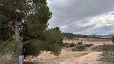 Rustic house in Villena photo 33