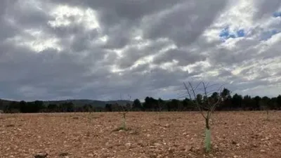 Rustic house in Villena photo 35