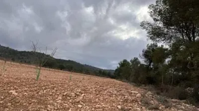 Rustic house in Villena photo 37