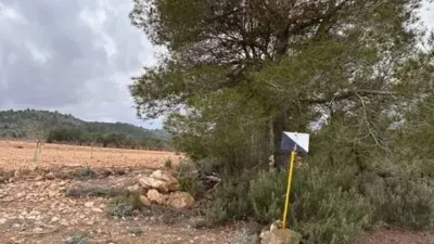 Rustic house in Villena photo 38