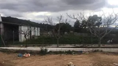 Rustic house in Villena photo 6